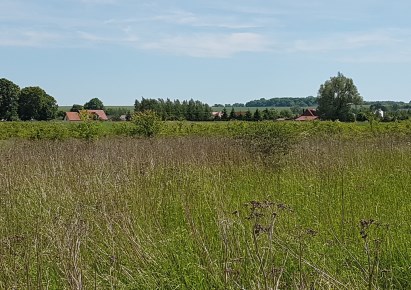 działka na sprzedaż - Dobra (Szczecińska), Wąwelnica