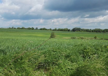 działka na sprzedaż - Kołbaskowo, Siadło Górne