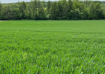 działka na sprzedaż - Oborniki Śląskie, Borkowice