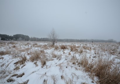 działka na sprzedaż - Dobra (Szczecińska), Wołczkowo