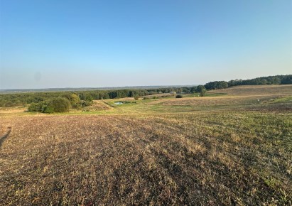 działka na sprzedaż - Kołbaskowo